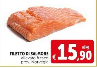 Deco Supermercati Filetto di salmone offerta