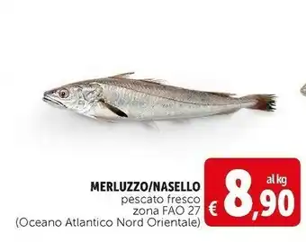 Deco Supermercati Merluzzo/ nasello pescato fresco offerta