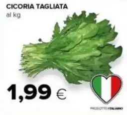 Tigre Cicoria tagliata al kg offerta