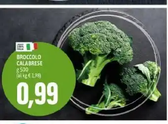 Broccolo calabrese