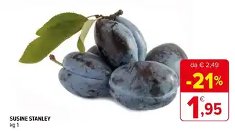 Iperal Susine stanley offerta