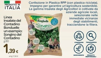 Carrefour Express Insalata offerta