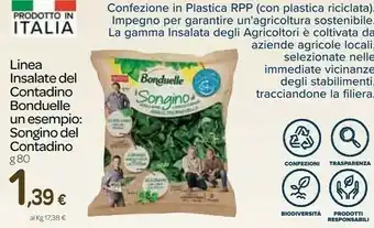 Carrefour Express Insalata offerta