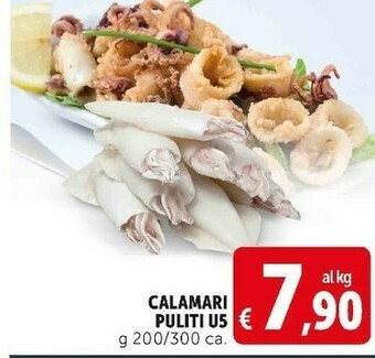 Deco Supermercati Calamari puliti u5 offerta