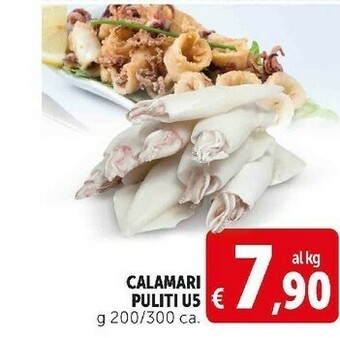 Deco Supermercati Calamari puliti u5 offerta