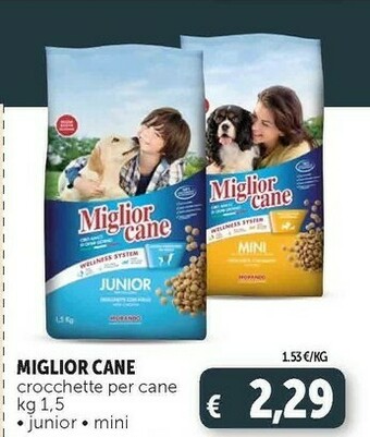 Deco Supermercati Miglior cane crocchette per cane offerta
