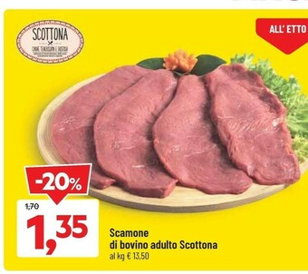 DPiù Carne offerta