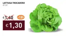 Prezzemolo e Vitale Lattuga trocadero offerta