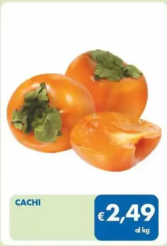 MD Discount Cachi offerta