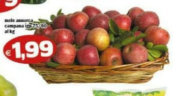 Il Castoro Supermercati Mele offerta
