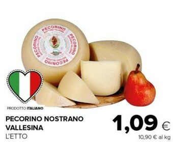 Vallesina pecorino nostrano