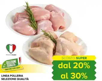 Tigre Linea polleria selezione qualità offerta