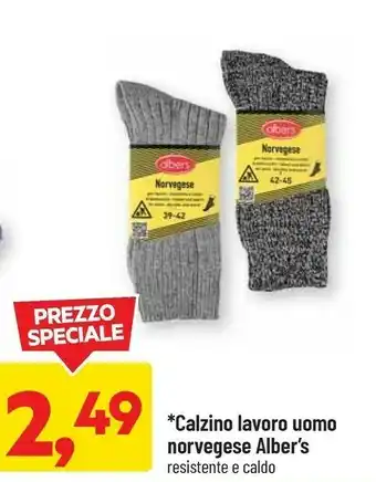 DPiù Alber's calzino lavoro uomo offerta