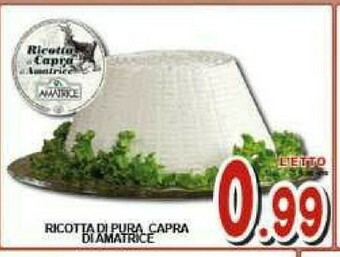 Sacoph Ricotta offerta