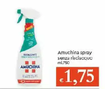 IperFamila Amuchina spray senza risciacquo 750ml offerta
