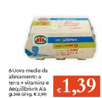 Galassia Aia aeQuilibrium 6 Uova medie da allevamento a terra + vitamina e 348gr offerta