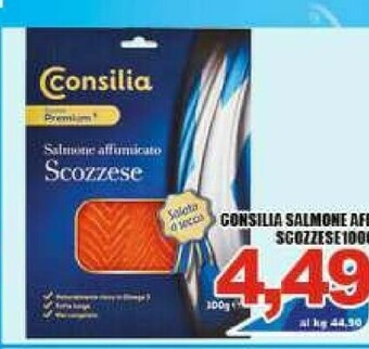 Sacoph Salmone affumicato offerta