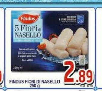 Sacoph Nasello offerta