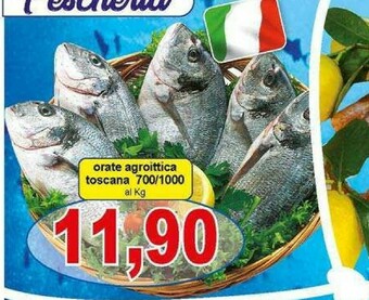 Pewex Orata offerta