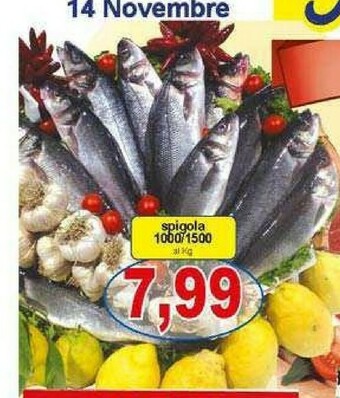 Pewex Pesce offerta