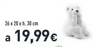 Orso polare