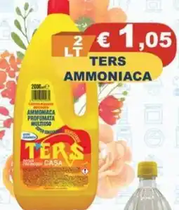 Ters ammoniaca