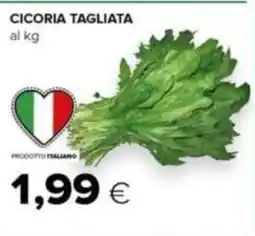 Tigre Cicoria tagliata offerta
