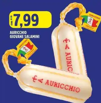 Big Food Auricchio giovane salamini offerta