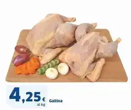 Sigma Gallina offerta