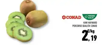 Conad City Conad kiwi hayward offerta