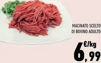 Conad City Macinato scelto di bovino adulto offerta