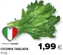 Tigre Cicoria tagliata offerta