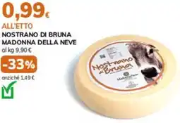 Basko Nostrano di bruna MADONNA DELLA NEVE offerta