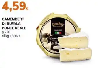 Basko Camembert di bufala PONTE REALE offerta