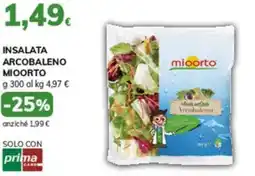Basko Insalata arcobaleno MIOORTO offerta
