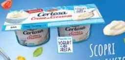Basko Crema alla crescenza CERTOSA offerta
