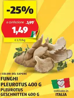 I colori del sapore funghi pleurotus pleurotus geschnitten