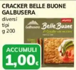 Basko Cracker belle buone GALBUSERA offerta