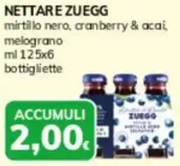 Basko Nettare ZUEGG offerta