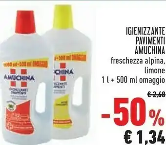 Conad Igienizzante pavimenti offerta