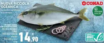 Conad Conad ricciola oceanica percorso qualita offerta