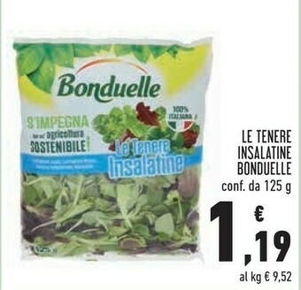 Conad Superstore Insalata offerta