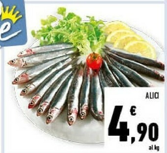 Conad Alici offerta