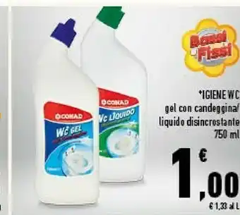 Conad Igiene wc gel offerta