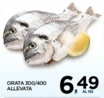 Interspar Orata 300/400 Allevata offerta