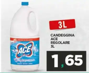 Interspar Ace Candeggina Regolare 3L offerta