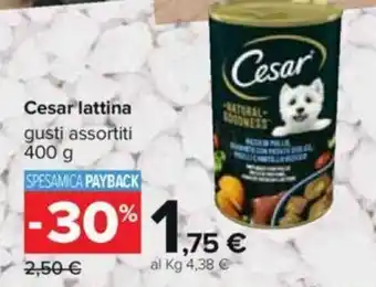 Carrefour Cesar Lattina 400g offerta