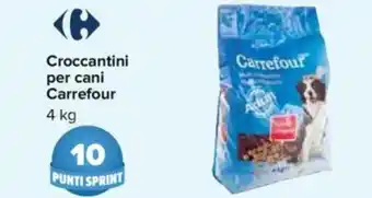 Carrefour Croccantini per Cani Carrefour 4kg offerta
