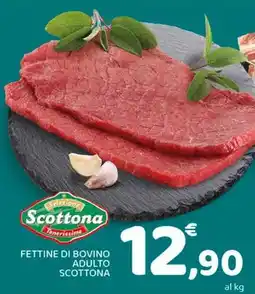 Conad City Fettine di bovino adulto SCOTTONA offerta