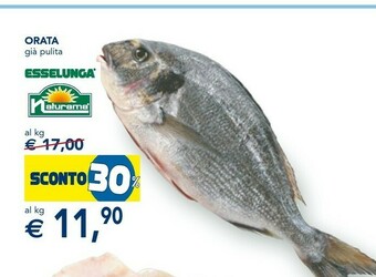 Esselunga Orata già pulita offerta
